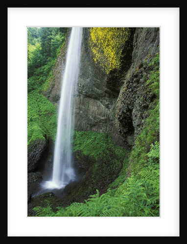 USA, Oregon, Columbia River Gorge Area, Scenic Waterfalls, Latourelle Falls by Anonymous