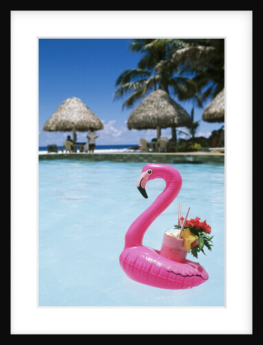 Cook Islands, South Pacific, Rarotonga, Tropical Drink in Pink Flamingo Float by Anonymous