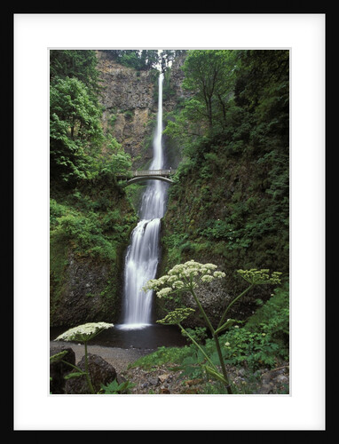 USA, Oregon, Columbia River Gorge Area, Scenic Waterfalls, Multonomah Falls by Anonymous