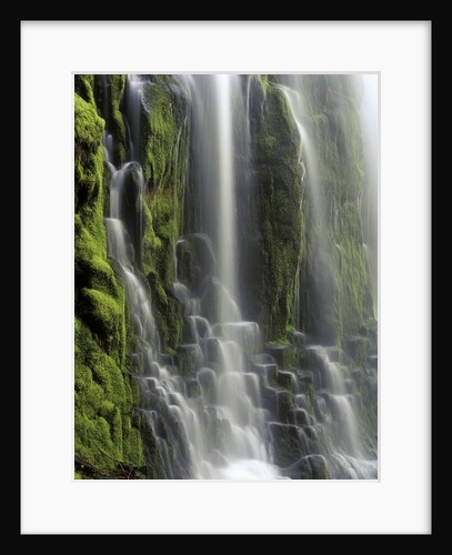 USA, Oregon, Proxy Falls - Waterfall Details by Anonymous