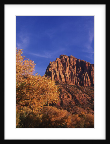 USA, Utah, Zion National Park, Cliffs Along Virgin River by Anonymous