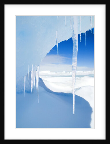 Antarctic Icicles, Snow Hill Island, Weddell Sea, Antarctica by Anonymous
