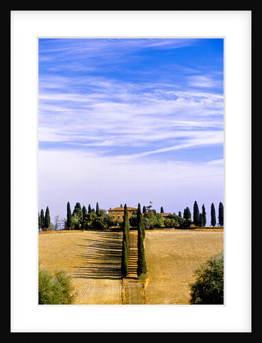 Tuscany landscape by Anonymous