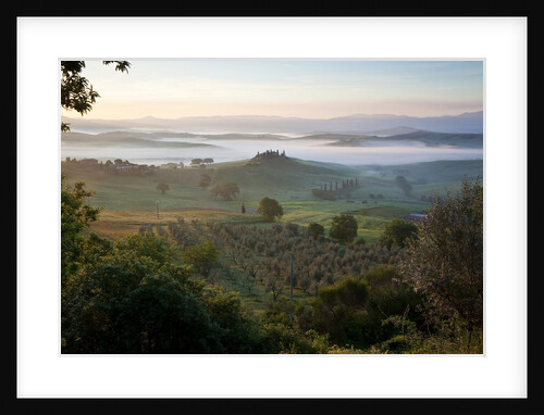 Ground fog at dawn in Val d'Orcia by Anonymous