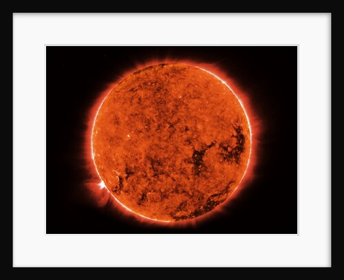 The Sun by Anonymous