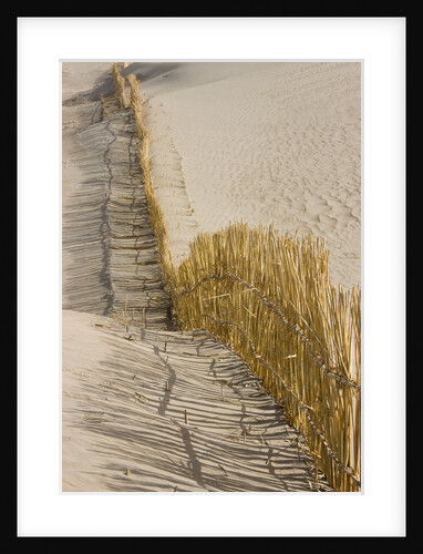 Reed fencing holding sand to prevent desertification by Anonymous