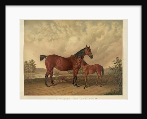 Flora Temple and Her Colt by Anonymous