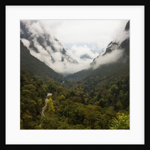 Hailuogou Glacier Forest Park by Anonymous