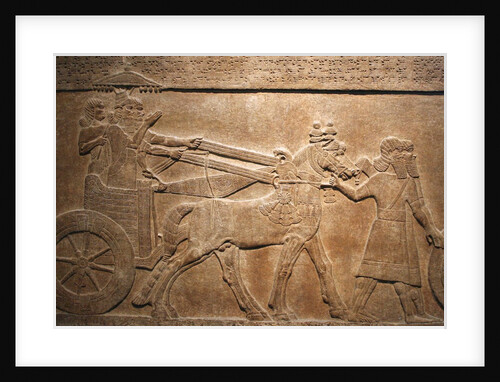 Detail of Late Assyrian alabaster relief panel from Central Palace of Tiglath-pileser III by Anonymous