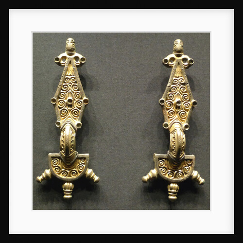 Arc fibulae from Transylvania by Anonymous