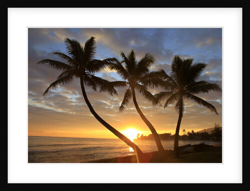 Sunrise, Windward Oahu, Hawaii by Anonymous