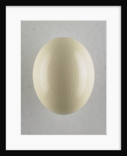 Egg by Anonymous