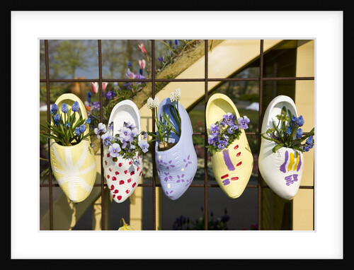 Dutch wooden shoes with flowers hanging in Keukenhof Gardens by Anonymous