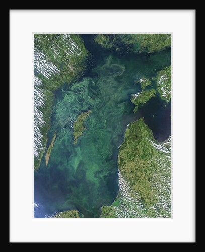 Algae Bloom in the Baltic Sea by Anonymous