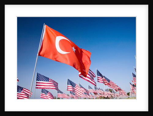 Turkish and American flags during 3000 Flags for 9-11 tribute by Anonymous