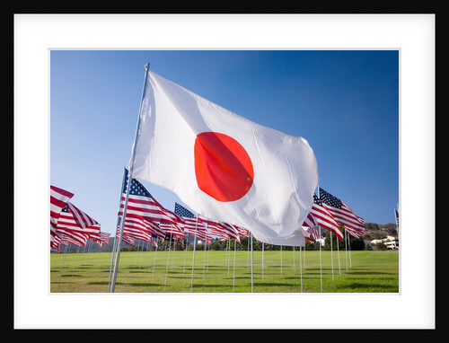 Japanese and Americans flags during 3000 Flags for 9-11 tribute by Anonymous