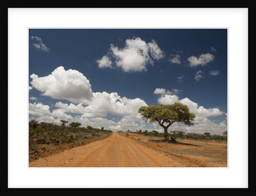Empty road in Laikipia, Kenya. by Anonymous