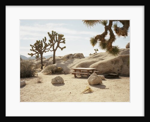 Picnic table in desert by Anonymous