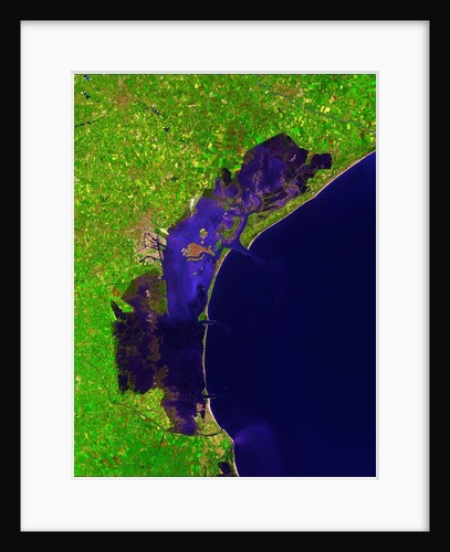 Satellite View of Venice by Anonymous