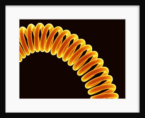 Filament of light bulb by Anonymous