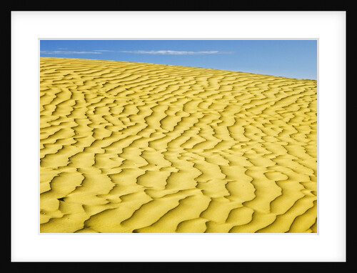 Pattern in sand dunes by Anonymous