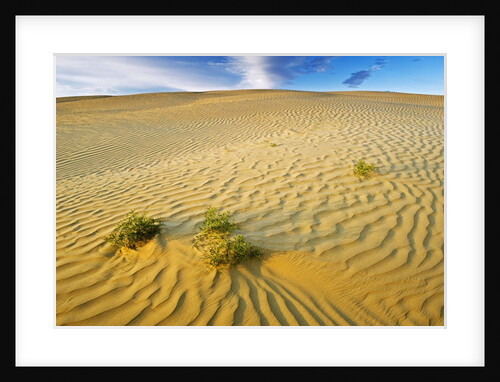 Pattern in sand dunes by Anonymous