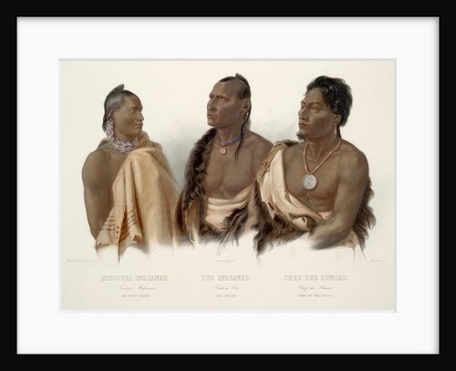 Missouri Indian, Oto Indian, Chief of the Puncas by Karl Bodmer