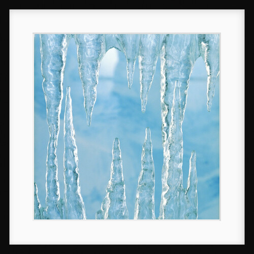 Icicles by Anonymous