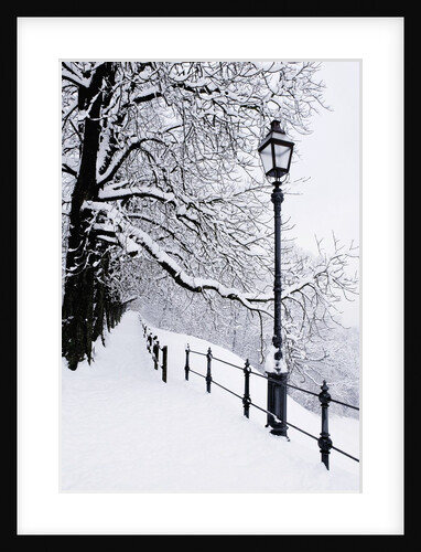 Trees and lamp post in snow by Anonymous
