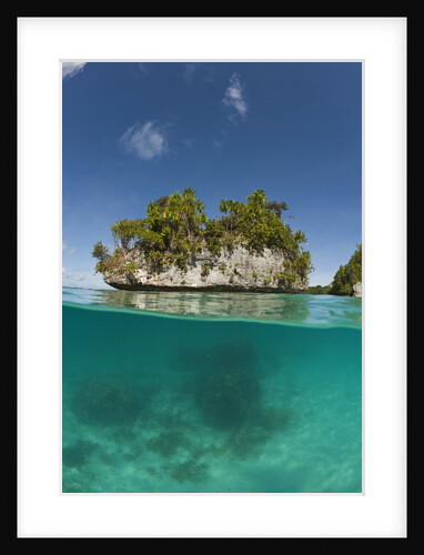 Small island off Palau, Micronesia by Anonymous