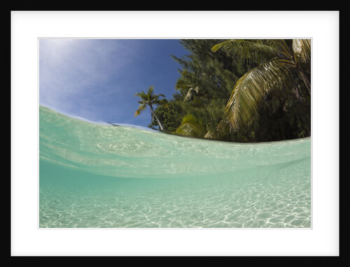 Lagoon and Palm-lined Beach, Micronesia, Palau by Anonymous