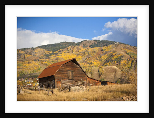 The famous Steamboat Barn, Steamboat Springs Ski Area in the background with yellow aspen trees, Colorado by Anonymous