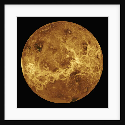 Venus by Anonymous