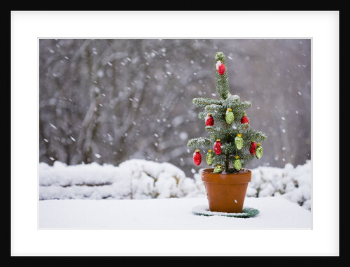 Small Christmas tree by Anonymous