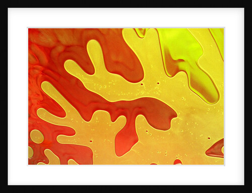 Shampoo taking on a coral-like form by Anonymous