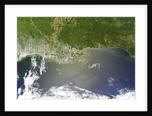 Oil Slick in the Gulf of Mexico by Anonymous