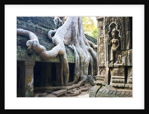 Tree roots overtaking Ta Prohm at Angkor by Anonymous
