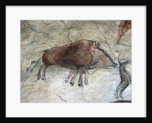 Replica of cave painting of boar from Altamira cave by Anonymous