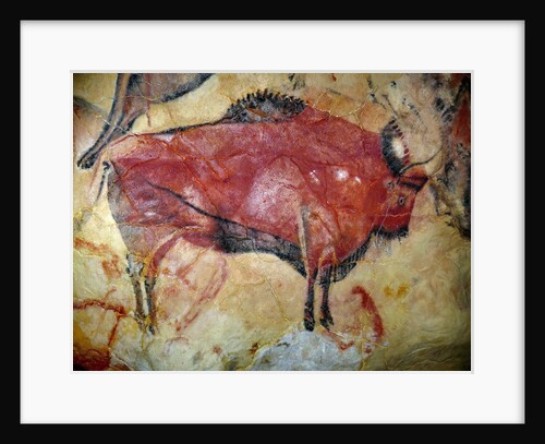 Cave painting of bison at Altamira by Anonymous