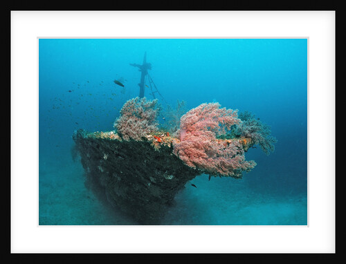 Halaveli Wreck and a scuba diver, Maldives. by Anonymous