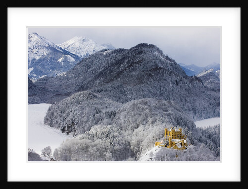 Schloss Hohenschwangau by Anonymous