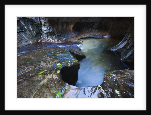 The Subway slot canyon by Anonymous