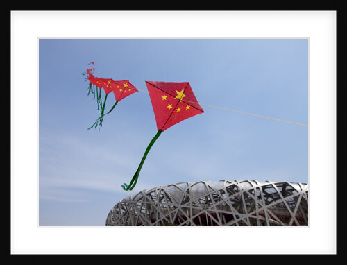 Kites flying by the Beijing National Stadium by Anonymous