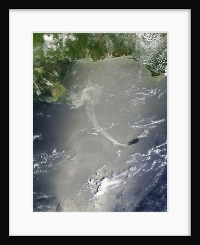 Oil slick in the Gulf of Mexico by Anonymous