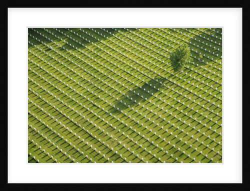 Arlington National Cemetery by Anonymous