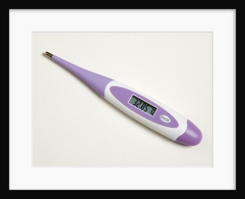 Digital thermometer by Anonymous