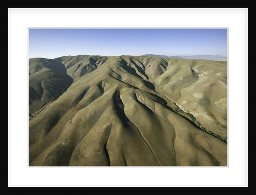 Tejon Ranch in California by Anonymous