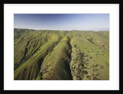 Tejon Ranch in California by Anonymous