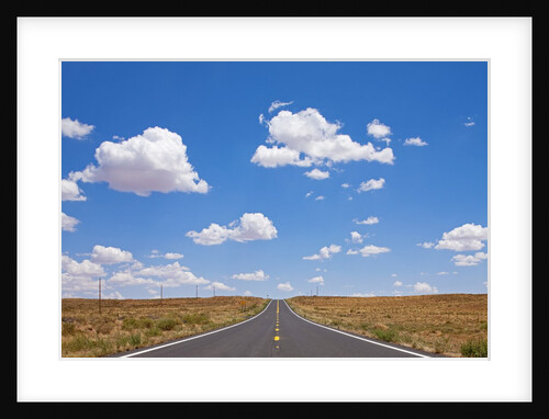 Highway in Arizona desert by Anonymous