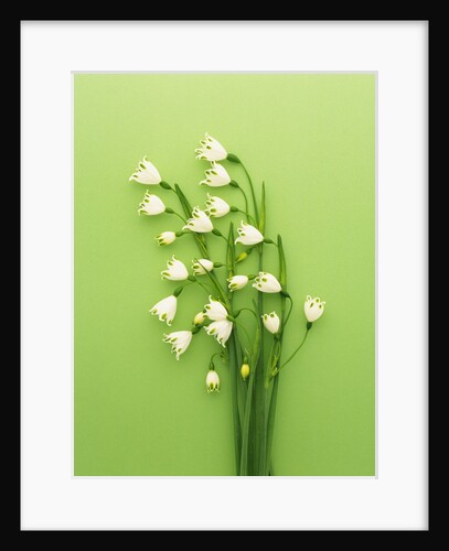 Snowflake by Anonymous